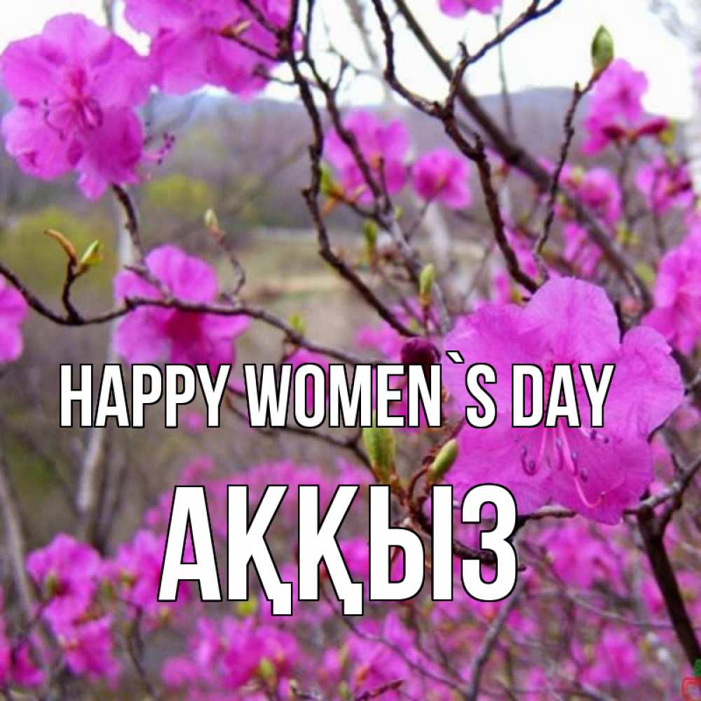 Greetings card с именем, АҚҚЫЗ happy women`s day международный женский день Greetings with text for free download 